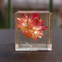 封藏自然。花朵水晶膠一號 Flower in clear resin No. 1 第2張的照片