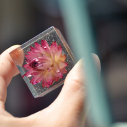 封藏自然。花朵水晶膠一號 Flower in clear resin No. 1 第4張的照片