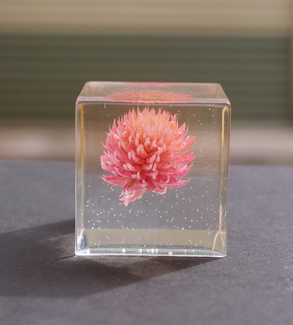 封藏自然。花朵水晶膠二號 Flower in clear resin No. 2 第1張的照片