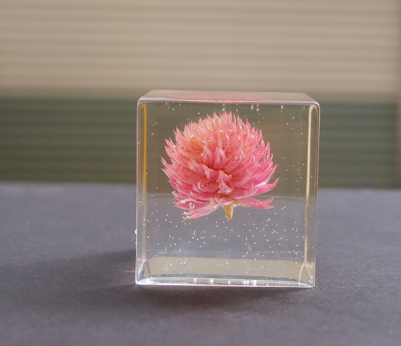 封藏自然。花朵水晶膠二號 Flower in clear resin No. 2 第2張的照片