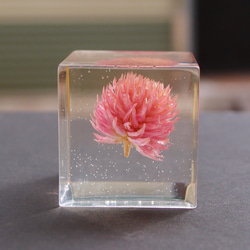 封藏自然。花朵水晶膠二號 Flower in clear resin No. 2 第3張的照片