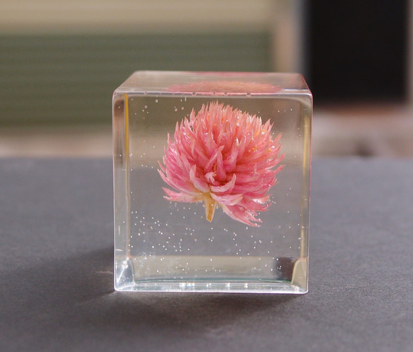封藏自然。花朵水晶膠二號 Flower in clear resin No. 2 第3張的照片