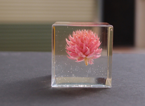 封藏自然。花朵水晶膠二號 Flower in clear resin No. 2 第4張的照片
