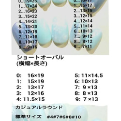  第2張的照片