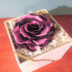 【BOXタイプ】　バラ　メリア　プリザーブドフラワー　モーブピンク・紫グラデーション 3枚目の画像