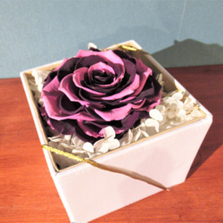 【BOXタイプ】　バラ　メリア　プリザーブドフラワー　モーブピンク・紫グラデーション 4枚目の画像
