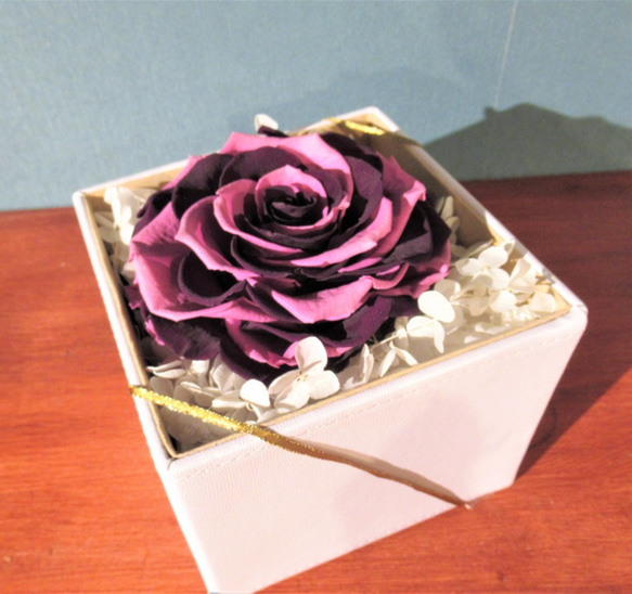 【BOXタイプ】　バラ　メリア　プリザーブドフラワー　モーブピンク・紫グラデーション 4枚目の画像