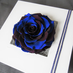 BOXタイプ】バラ メリア プリザーブドフラワー ブルー・濃い紫 その他  