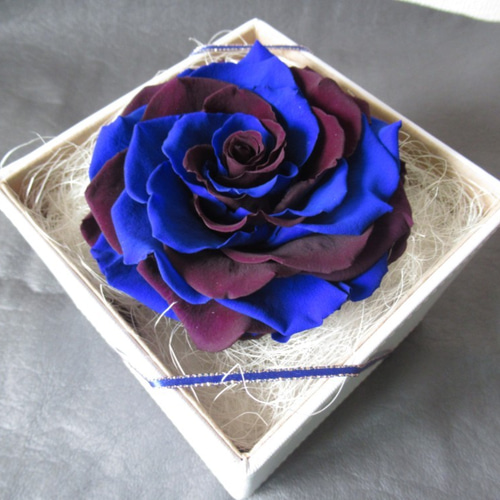 BOXタイプ】バラ メリア プリザーブドフラワー ブルー・濃い紫 その他