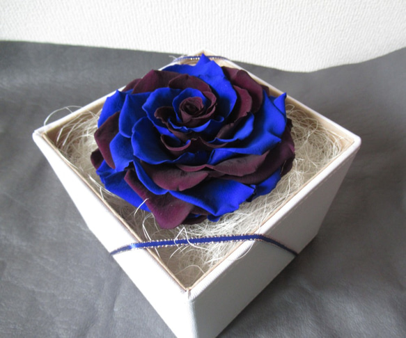 【BOXタイプ】バラ　メリア　プリザーブドフラワー　ブルー・濃い紫 2枚目の画像