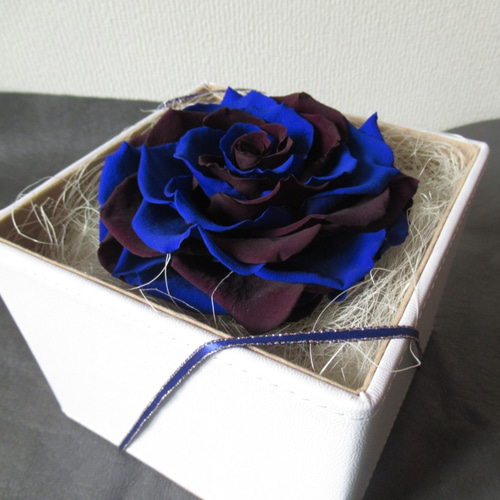 BOXタイプ】バラ メリア プリザーブドフラワー ブルー・濃い紫 その他  