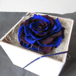 【BOXタイプ】バラ　メリア　プリザーブドフラワー　ブルー・濃い紫 4枚目の画像