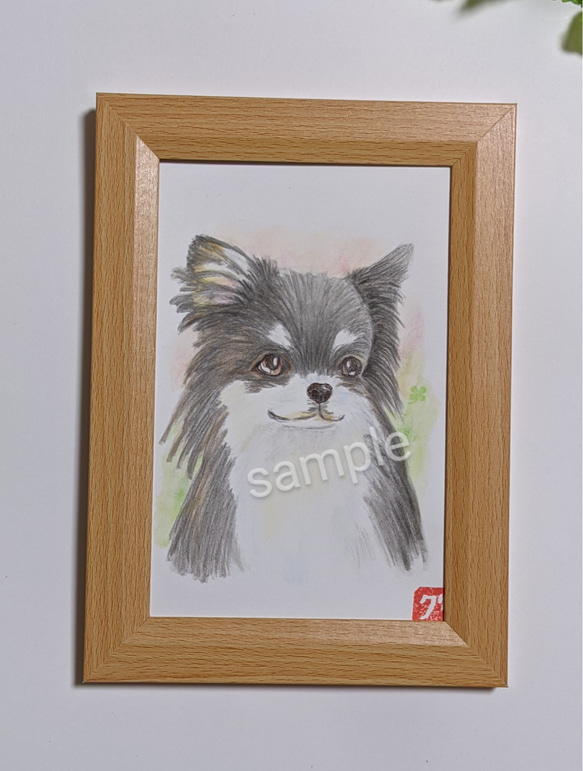 特別価格★【原画】『ウミウシに乗って』（風景画　空の絵　チワワ　黒猫　手描き） 6720fa734063b6001f003082ed8030