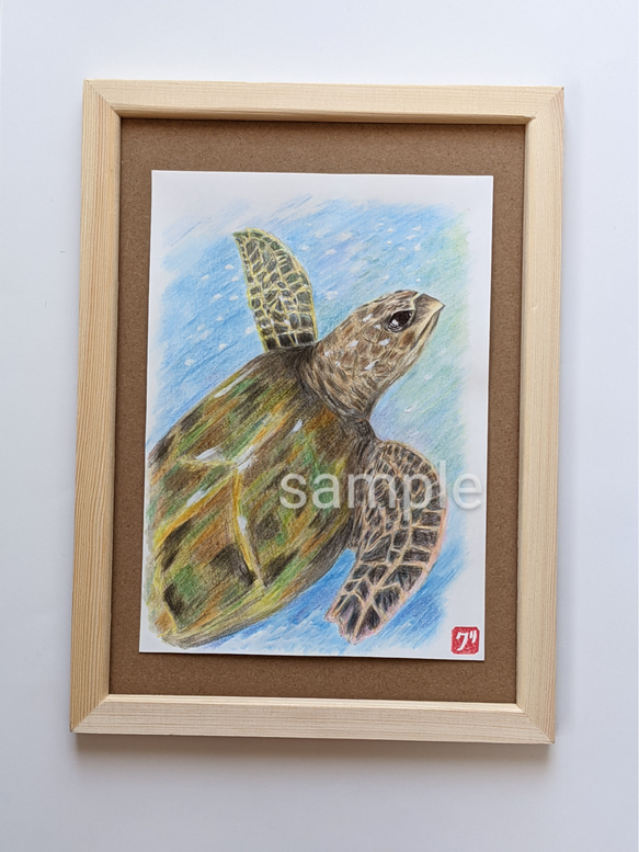 A-214/24】動物画 ウミガメ 絵画 キャンバス 真作 インテリア