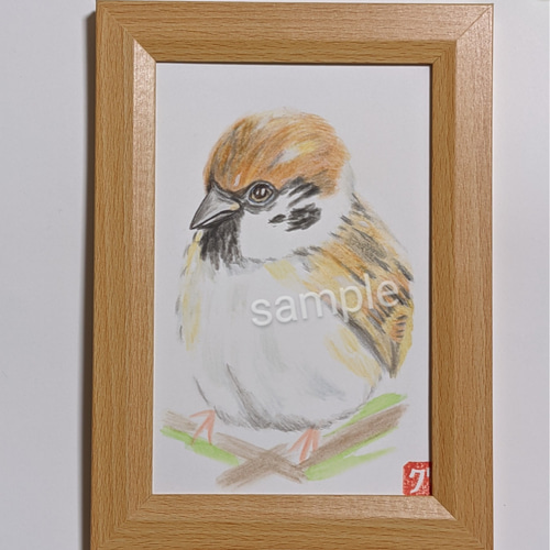 スズメ スズメイラスト 見本 手描き(送料無料) 雀の絵 p2 イラスト