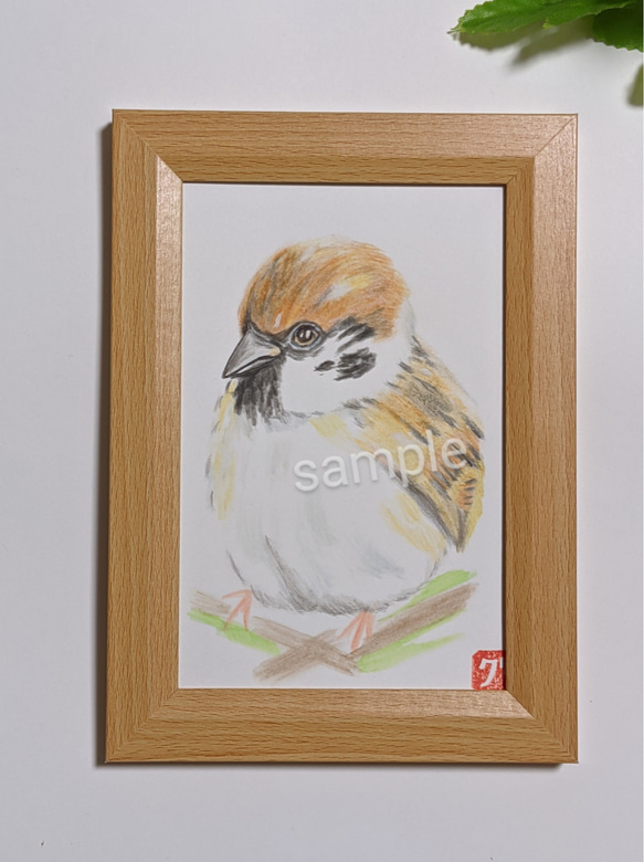 雀 すずめ 額装付き 原画 雀 すずめ 額装付き 原画