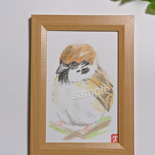 雀 すずめ 額装付き 原画 51F1htk7RgL._AC_UF350,