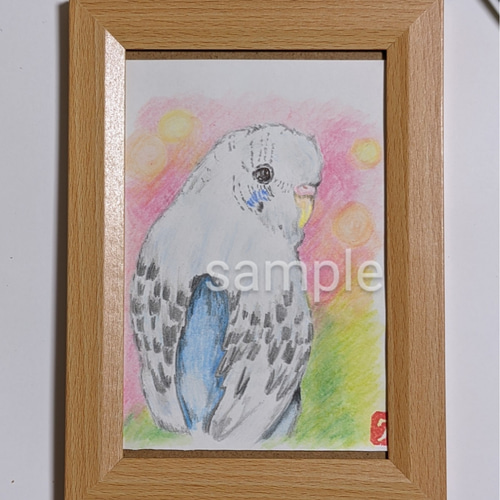 セキセイインコイラスト インコ似顔絵 原画 (送料無料) ペット