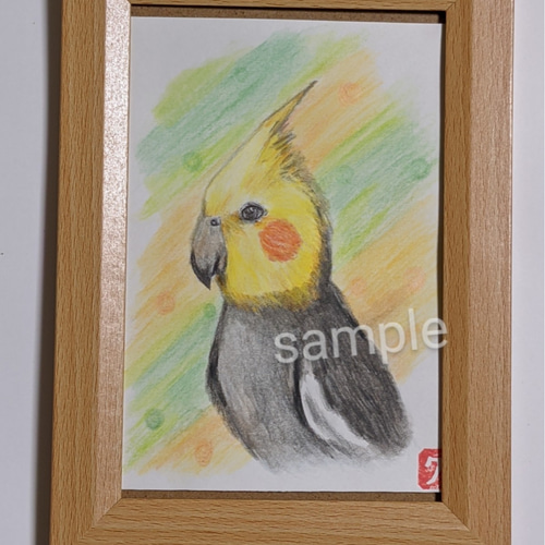 オカメインコ・シナモン【色鉛筆画】イラスト 絵画 初心者