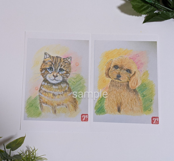 犬ポストカード　猫ポストカード　動物ポストカードセット 3枚目の画像
