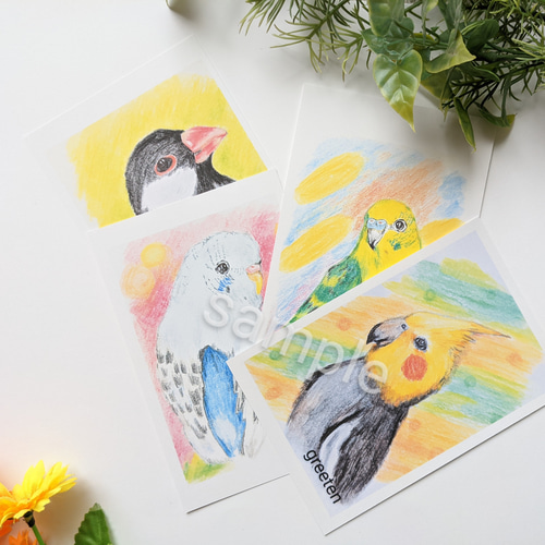 鳥類イラストカード 52枚セット 鳥類イラストカード 52枚セット 鳥類イラストカード 52枚セット