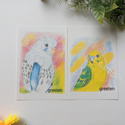 鳥イラスト　鳥ポストカードセット　セキセイインコ　文鳥　オカメインコ　4枚セット 2枚目の画像