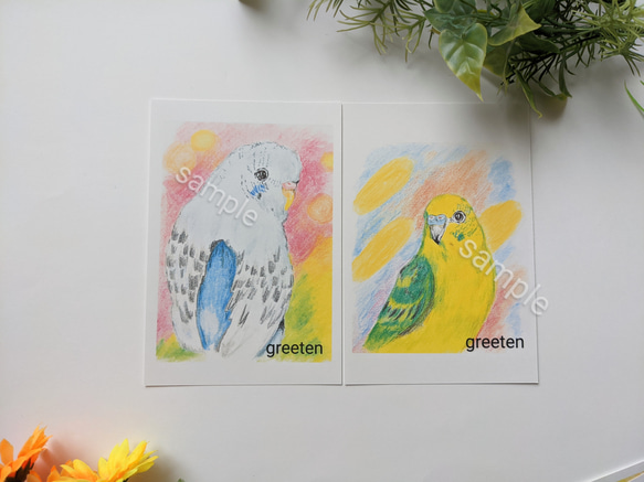 鳥イラスト　鳥ポストカードセット　セキセイインコ　文鳥　オカメインコ　4枚セット 2枚目の画像