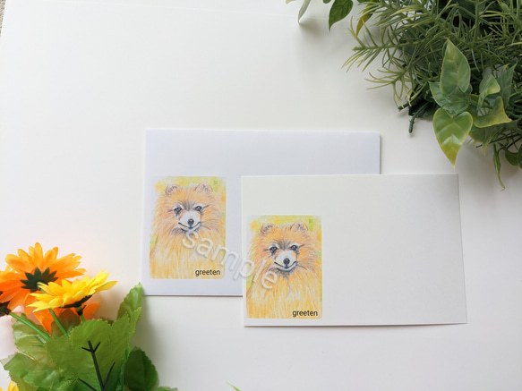ポメラニアン メッセージカードと封筒セット　犬メッセージカード　犬グッズ　ポメラニアングッズ　ペットグッズ　 2枚目の画像