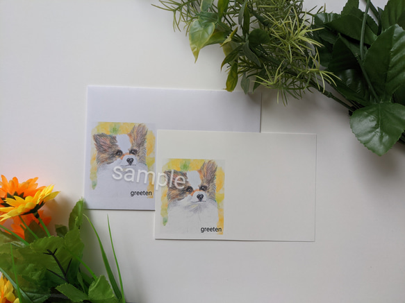 パピヨンメッセージカードと封筒セット　ペットグッズ　犬グッズ　パピヨングッズ　 1枚目の画像