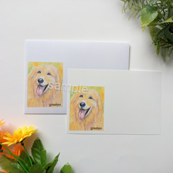 ゴールデンレトリバー　メッセージカードと封筒セット　ペットグッズ　犬グッズ　レトリバーグッズ　 2枚目の画像
