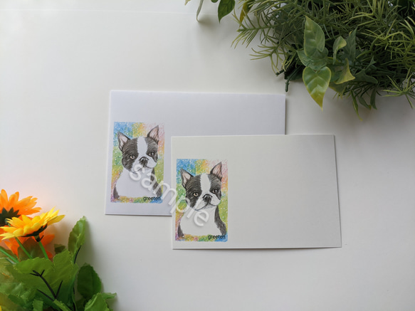 ボストンテリアイラスト　メッセージカードと封筒セット　ペットグッズ　犬グッズ　 2枚目の画像
