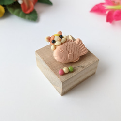 樹脂粘土　ミニチュア猫　ミニチュア雑貨 和菓子 たい焼き ねこ人形 1 3枚目の画像