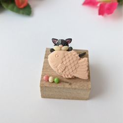 猫 樹脂粘土ミニチュア雑貨 ミニチュア和菓子 たい焼き ねこ人形 8 1枚目の画像