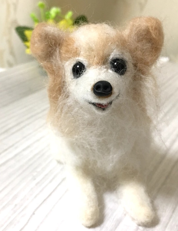 羊毛フェルト チワワ 羊毛フェルト ku-etsu 通販 4244048
