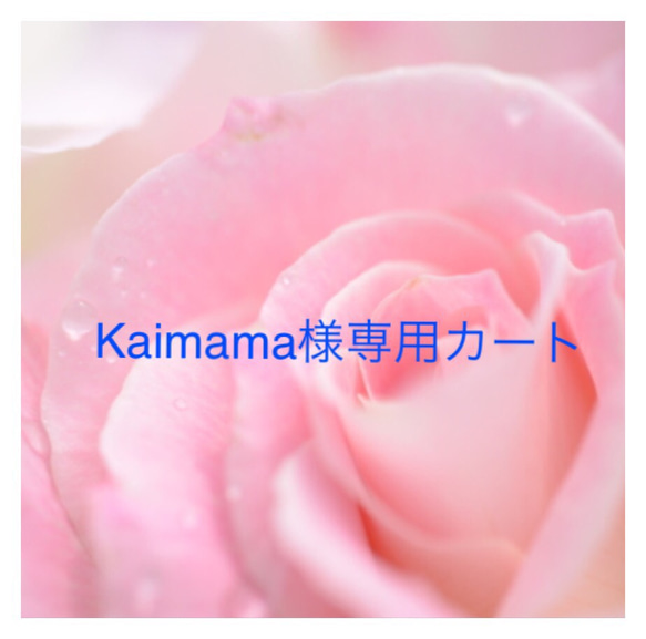 Kaimama様専用カート 2枚目の画像