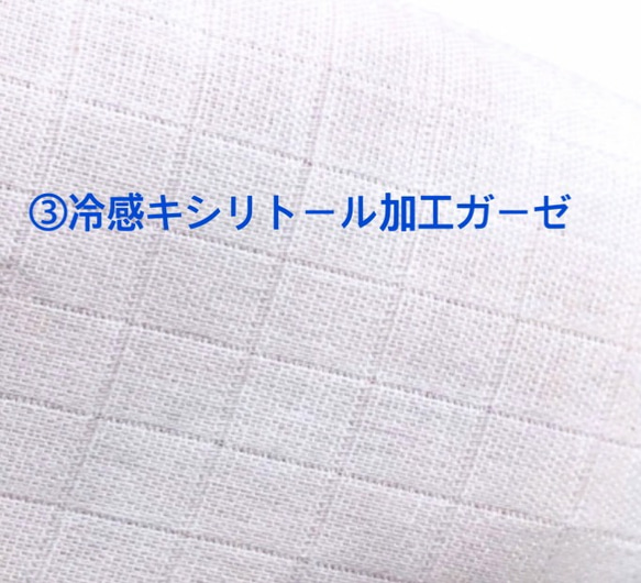 SALE 内布が選べる 大きめマスク リバティダブルガーゼ 5枚目の画像