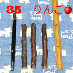 35、20g程度3本、デグーハムスターかじり木、りんごの木の乾燥小枝セット 1枚目の画像