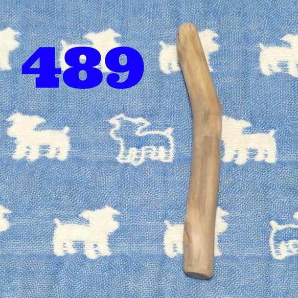 489.犬のおもちゃ、犬用、歯固め、かじり木、梨の木、超小型犬向き 1枚目の画像