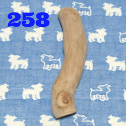 258.犬のおもちゃ犬用、かじり木梨の木、あまがみ対策、歯固め、中型犬向き 1枚目の画像