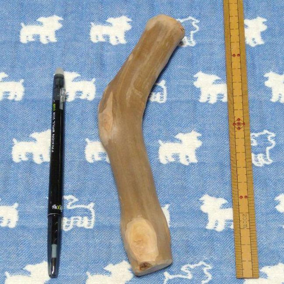 567.犬のおもちゃ犬用、かじり木、あまがみ対策、梨の木、小さめ中型犬向き 2枚目の画像