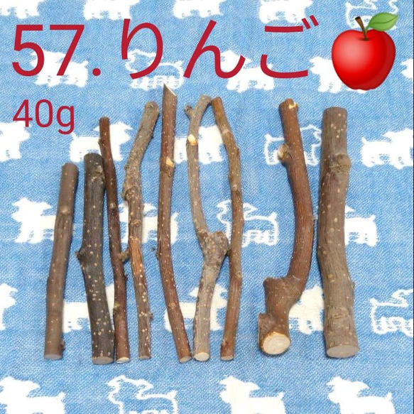 57、40g程度、デグーハムスターかじり木、りんごの木の乾燥小枝セット 1枚目の画像