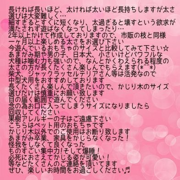 DB.けやき梨の木新品.犬用おもちゃ、小さめ中小型犬向け歯固め、かじり木 7枚目の画像