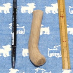 97.犬のおもちゃ犬用、歯固め、かじり木梨の木、小さめ小型犬向き 4枚目の画像