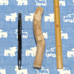 96.犬のおもちゃ犬用、歯固め、かじり木梨の木、小さめ小型犬向き 2枚目の画像