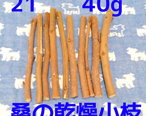 21、40g程度10本、桑の木、新品デグー小動物かじり木、桑の木の乾燥