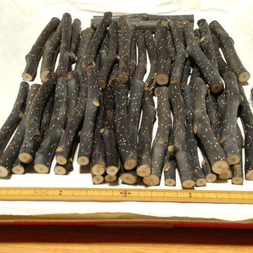 400g極太、梨50程度、乾燥梨の木 デグー ハムスター おもちゃ