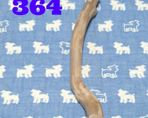 364.犬のおもちゃ犬用、かじり木梨の木、あまがみ対策、歯固め