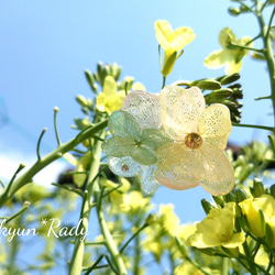 紫陽花プリザのフリーリング 2枚目の画像