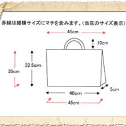 レッスンバッグ大きめ 大 シンプルチェック 35×45 5枚目の画像