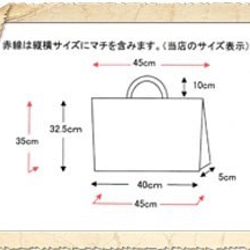 大きめレッスンバッグ大 35×45 いちご パッチワーク アオ 水玉 6枚目の画像